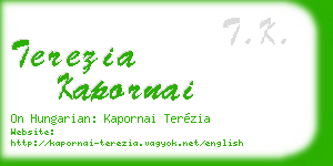 terezia kapornai business card