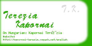 terezia kapornai business card